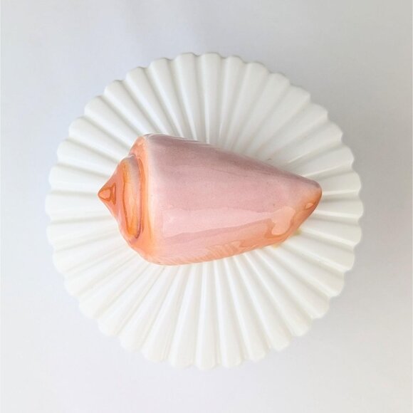 White Bone China Trinket Box with Peach Conch Shell Lid Coastal Elegant Keepsake - Picture 4 of 7